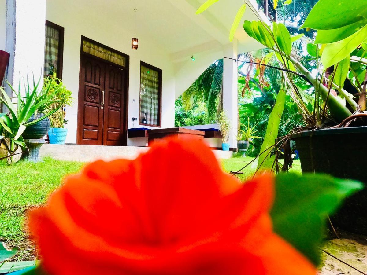 Mountain Seaview Cabanas Tangalle Luaran gambar
