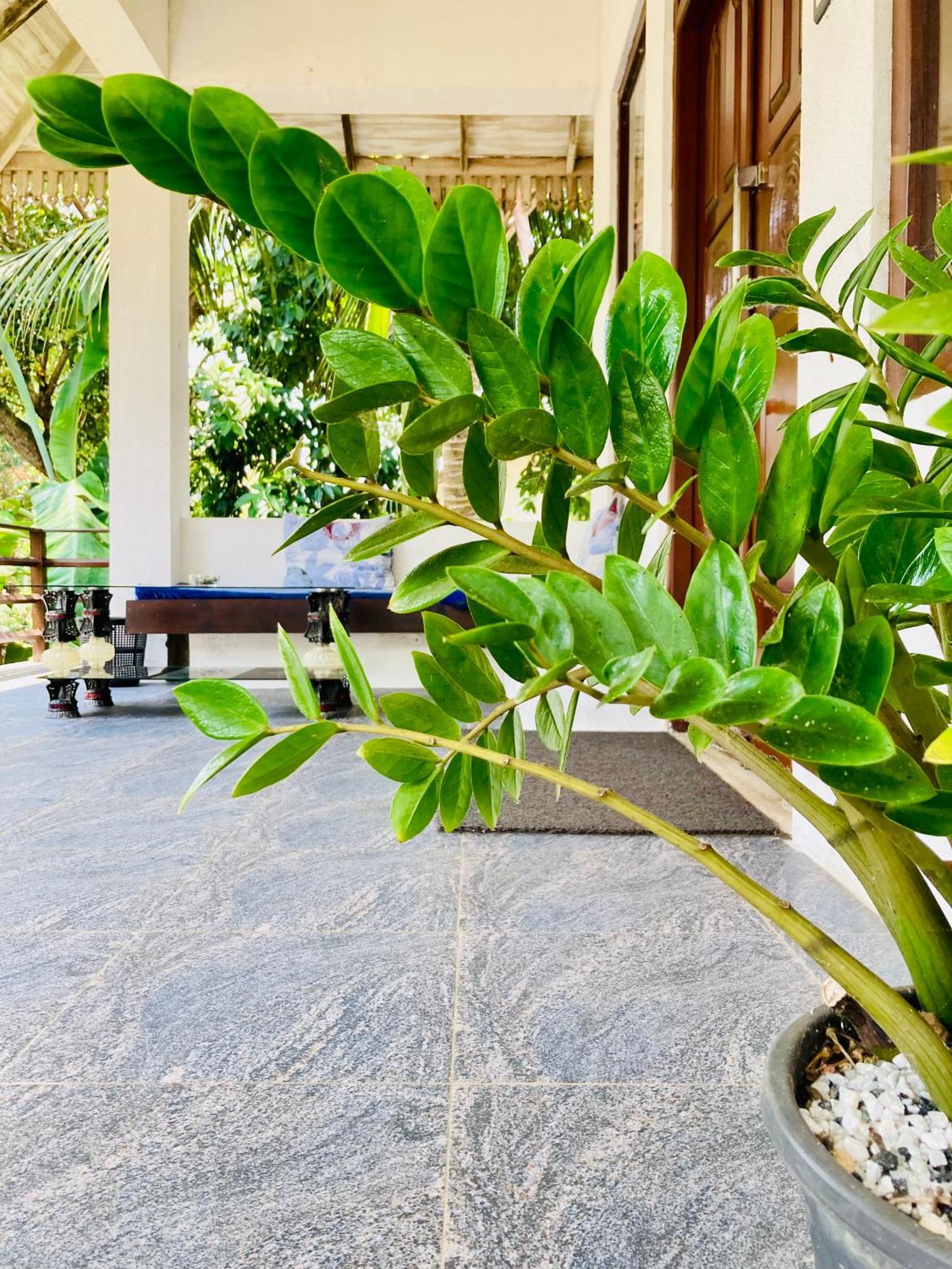 Mountain Seaview Cabanas Tangalle Luaran gambar