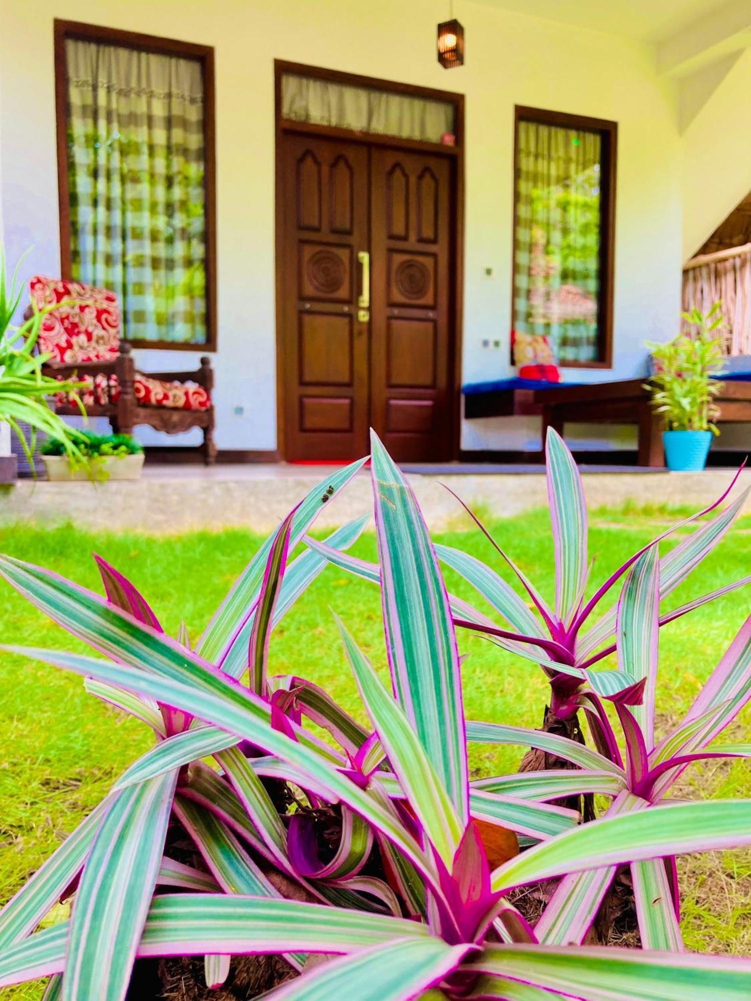 Mountain Seaview Cabanas Hotel Tangalle Luaran gambar