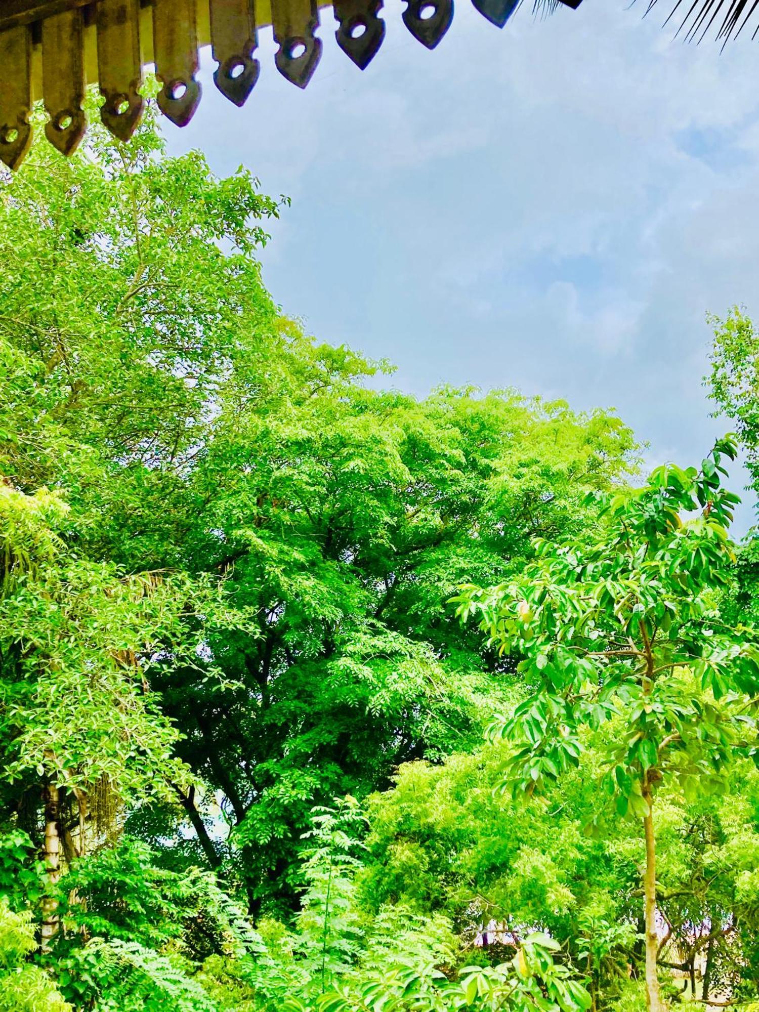 Mountain Seaview Cabanas Tangalle Luaran gambar